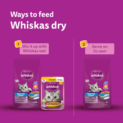 Whiskas Adult Cat Food Combo |Ocean Fish Dry & Salmon in Gravy Wet