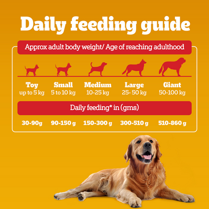 Pedigree Chicken & Veg Dry Food with Petkit FreshElement Solo Smart Wi Fi Feeder Ultimate Smart Feeding Adult Dog Combo
