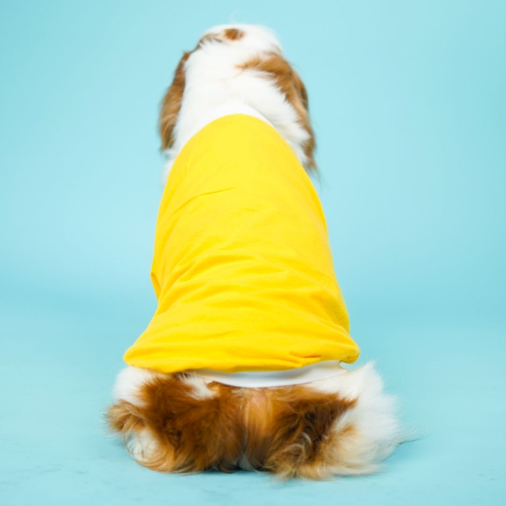 Pets Way Dive In Stripes Tshirt for Dogs (Yellow)