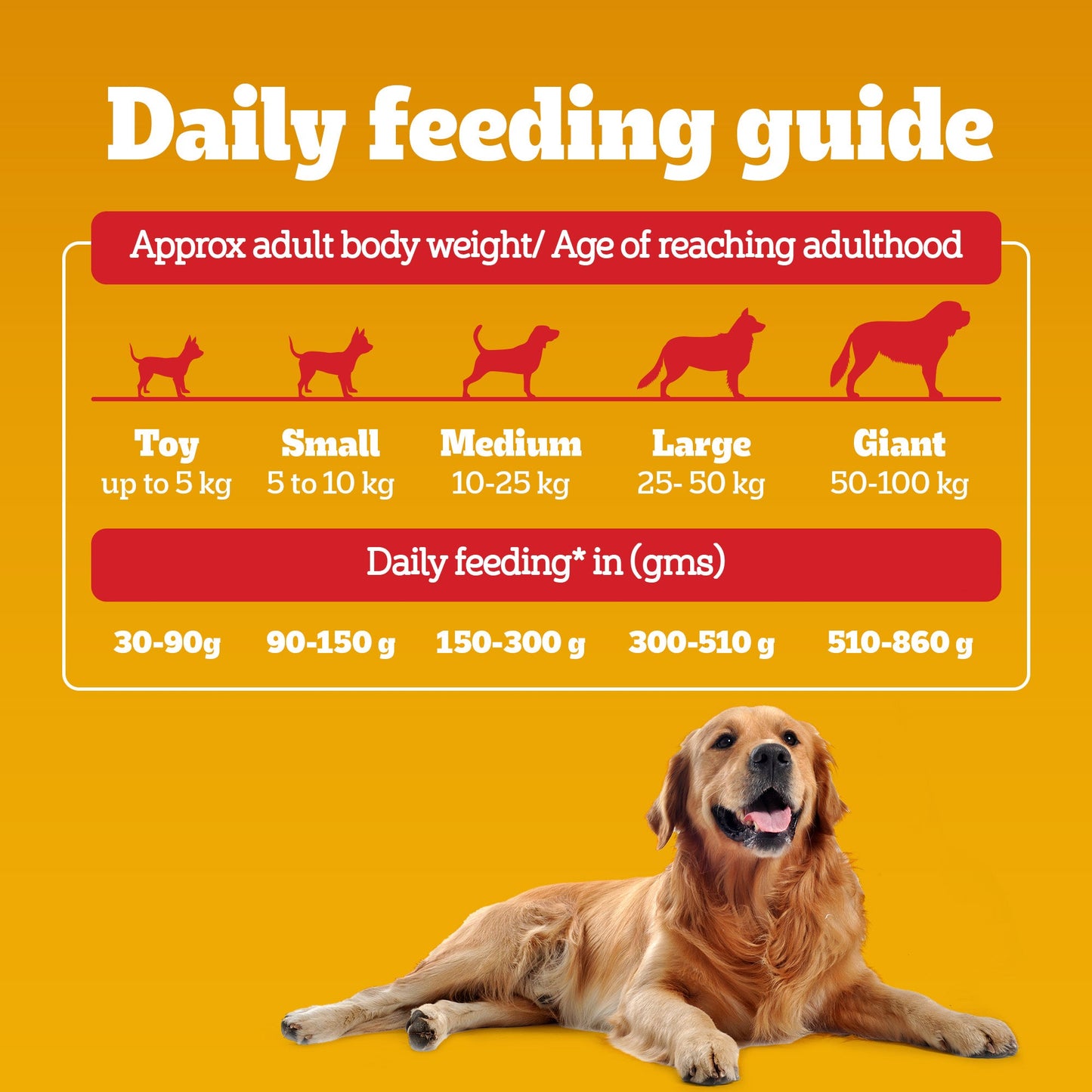Pedigree Adult Dog Food Combo |Meat & Rice Dry & Chicken & Liver Wet