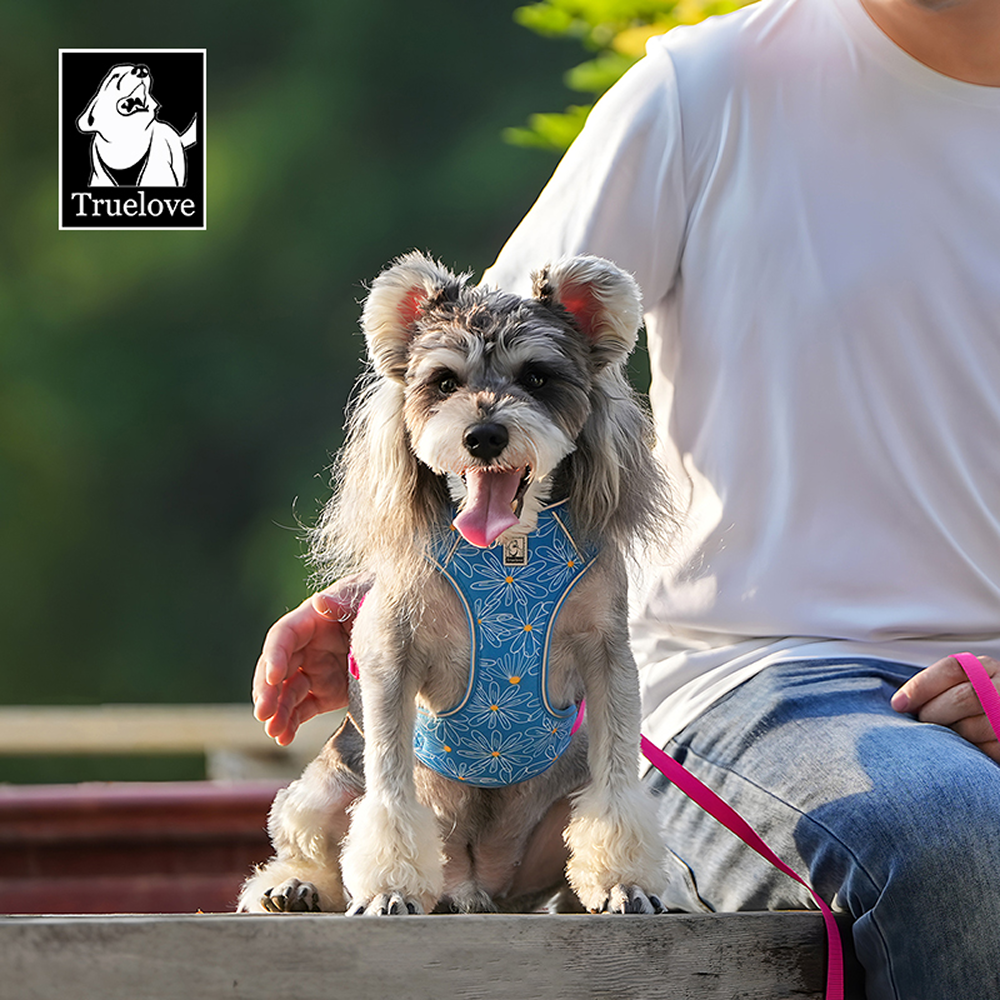 Truelove Ultra Light Harness & Leash Set for Small Dogs (Diva Blue)