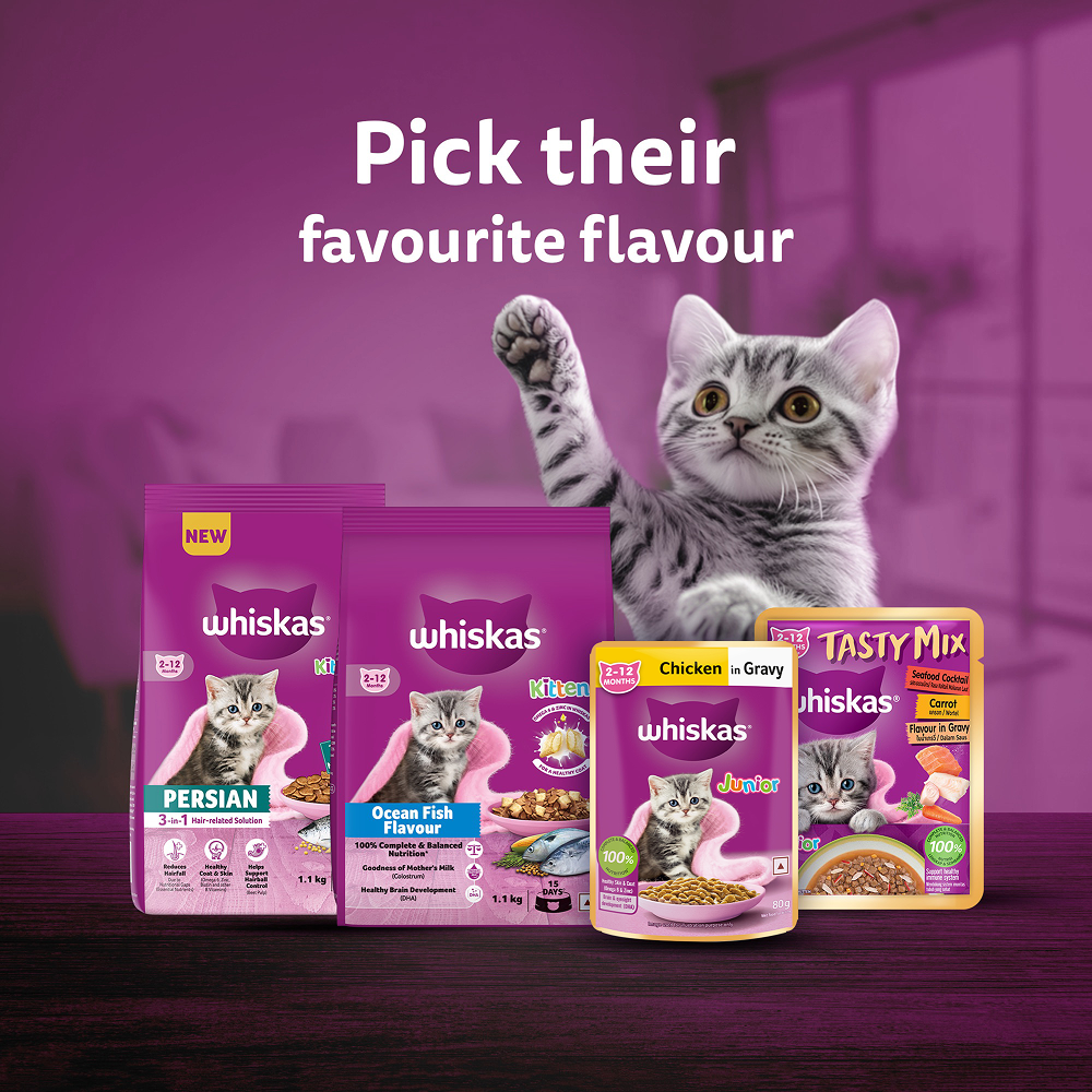 Whiskas Kitten Wet Food Value Combo |Chicken, Tuna & Mackerel