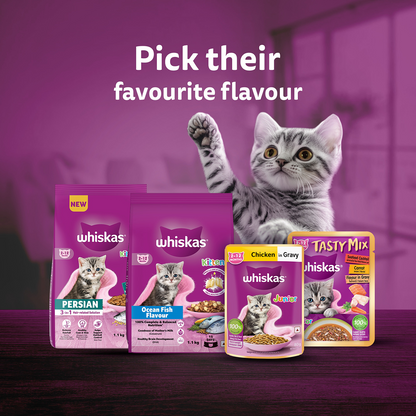Whiskas Kitten Wet Food Value Combo |Chicken, Tuna & Mackerel