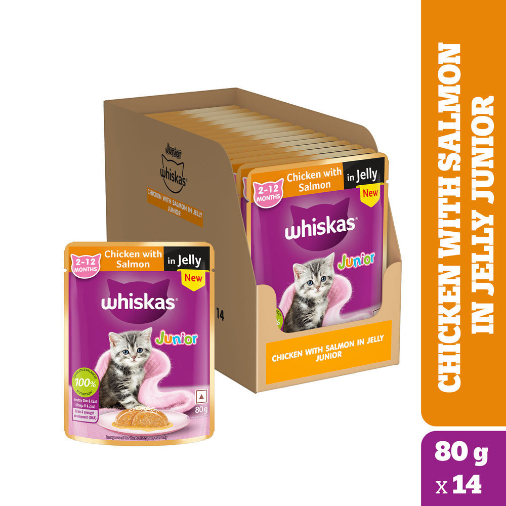 Whiskas Kitten Cat Food Combo |Ocean Fish Dry & Chicken with Salmon in Jelly in Gravy Wet