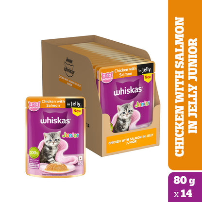 Whiskas Kitten Cat Food Combo |Ocean Fish Dry & Chicken with Salmon in Jelly in Gravy Wet