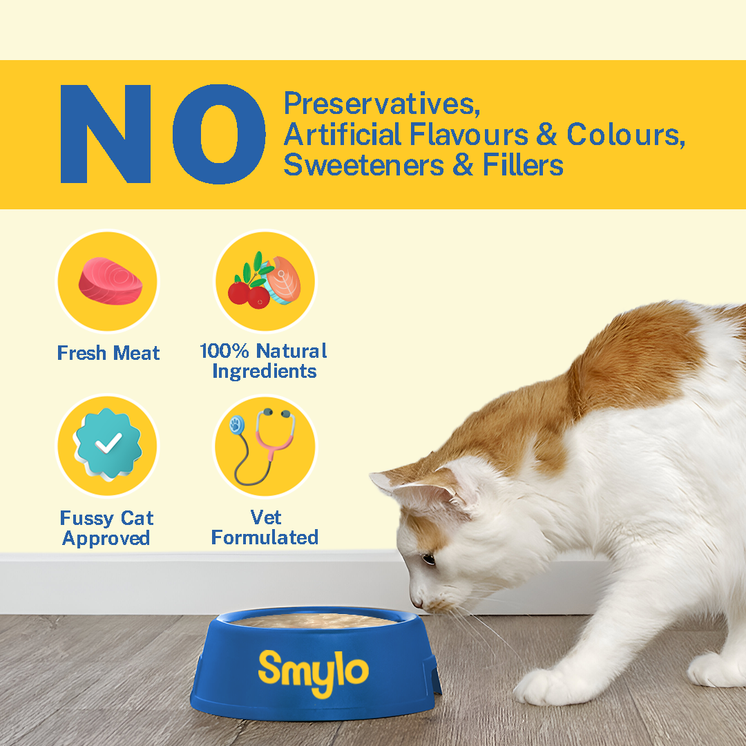 Smylo Kitten Variety Combo, Tuna & Chicken, Fresh & No-Preservative Wet Cat Food