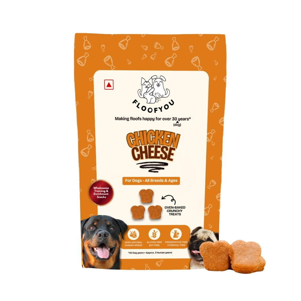 Floofyou Chicken Cheese Oven Baked Cookie Dog Treats