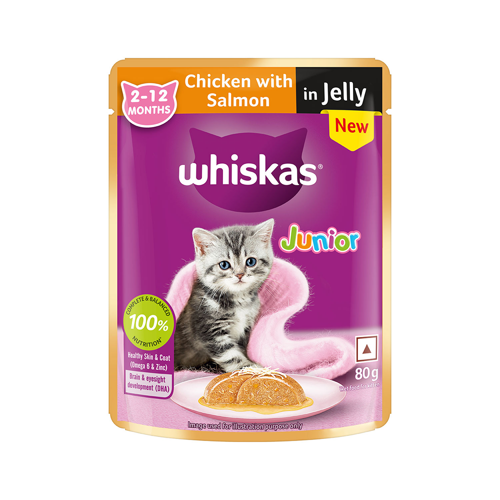 Whiskas Kitten Cat Food Combo |Ocean Fish Dry & Chicken with Salmon in Jelly in Gravy Wet