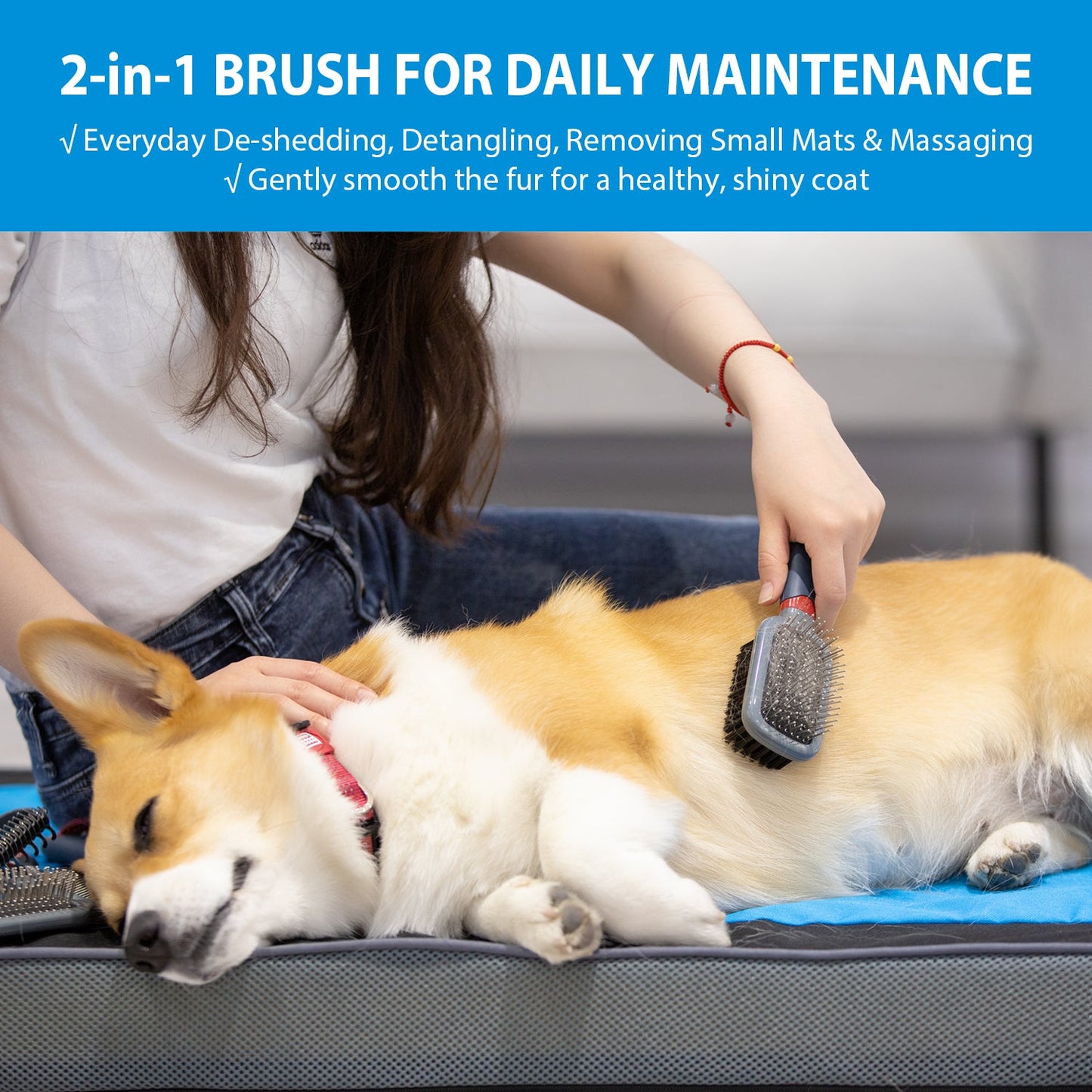 GiGwi Double Sided Brush with Bristles and Pins for Dogs and Cats (Black)