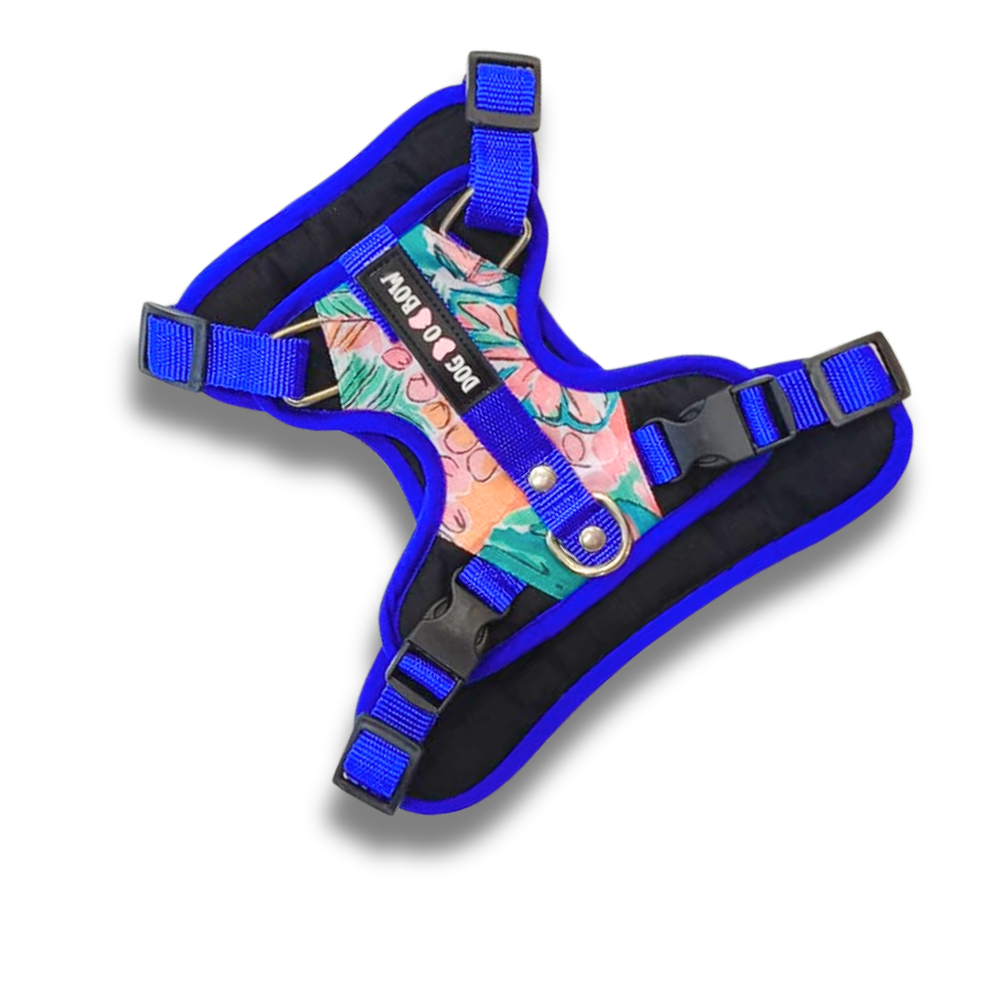 Dogobow Double Padded Harness with Tropicana Print for Dogs (Teal Green)