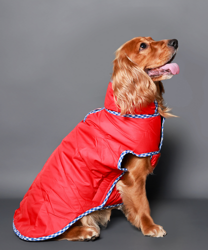 Pet Set Go Wind Sheeter Jackets for Dogs (Red)