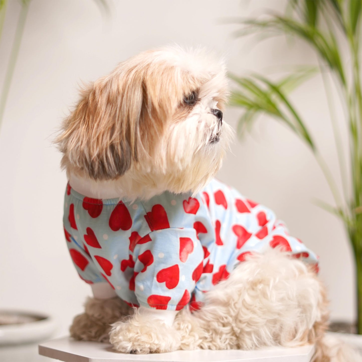 Pets Way Little Heart Tshirt for Dogs (Red)