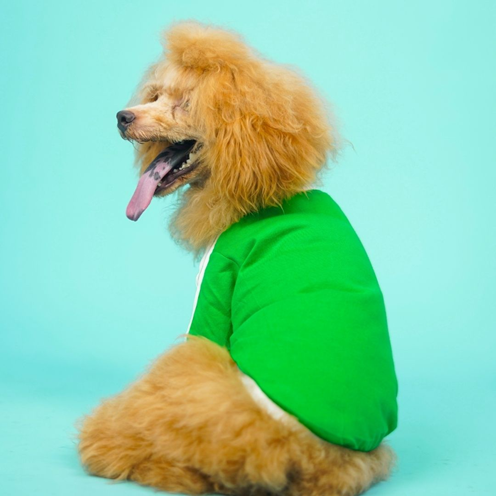 Pets Way Dive In Stripes Tshirt for Dogs (Forest)
