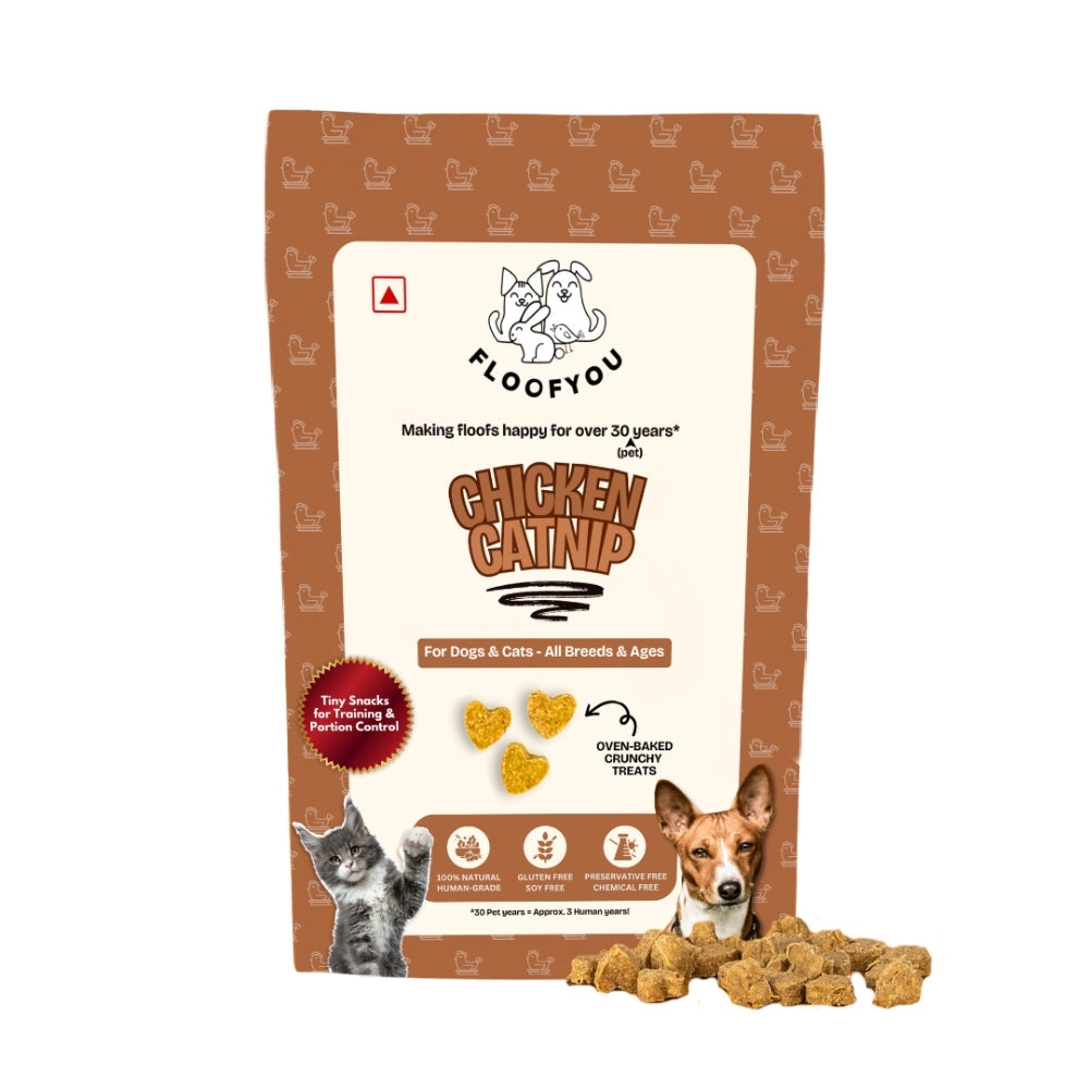 Floofyou Chicken Catnip Oven Baked Cookie Dog Treats