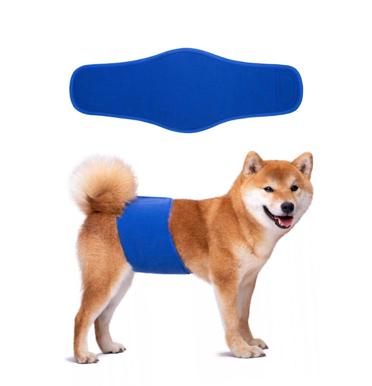 KUTKUT Diapers for Male Dogs (Blue)