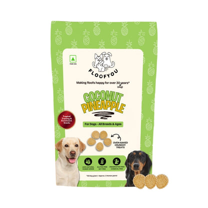 Floofyou Coconut Pineapple Vegan Oven Baked Cookie Dog Treats