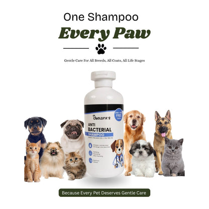 Dr. Chelsea’s Anti Bacterial Shampoo for Dogs & Cats