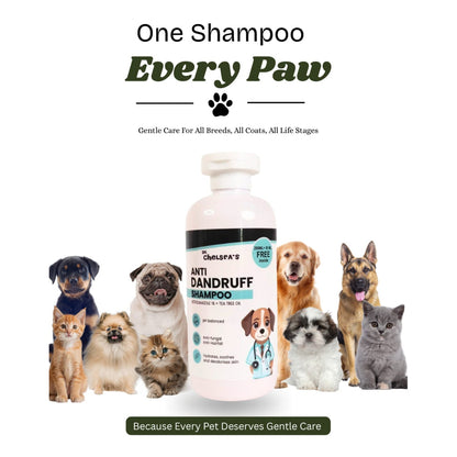 Dr. Chelsea’s Anti Dandruff Shampoo for Dogs & Cats