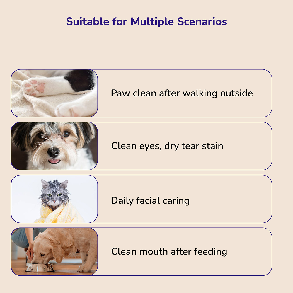 Petverse 2 in 1 Hair Drying & Hair Brush for Dogs & Cats