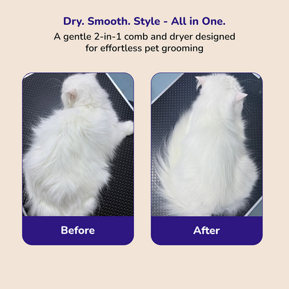 Petverse 2 in 1 Hair Drying & Hair Brush for Dogs & Cats