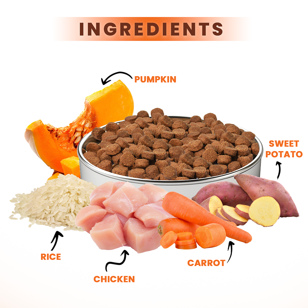 Lickicious Chicken and Vegetables Adult Dog Dry Food