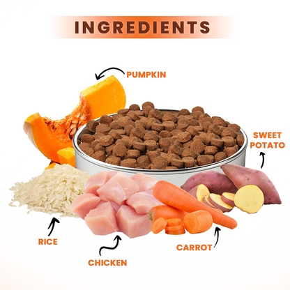 Lickicious Premium Chicken and Vegetable Adult Dog Dry Food