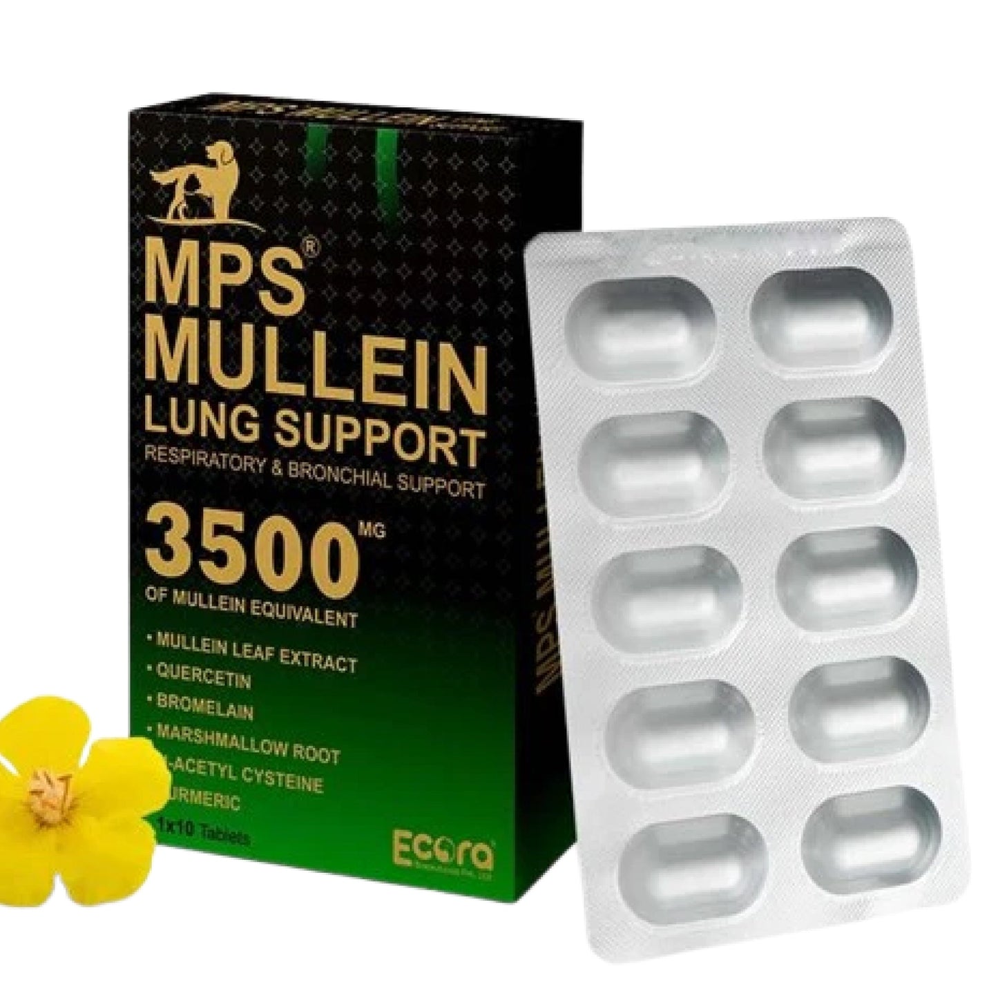 MPS Mullein Lung Support Tablets for Dogs Cats