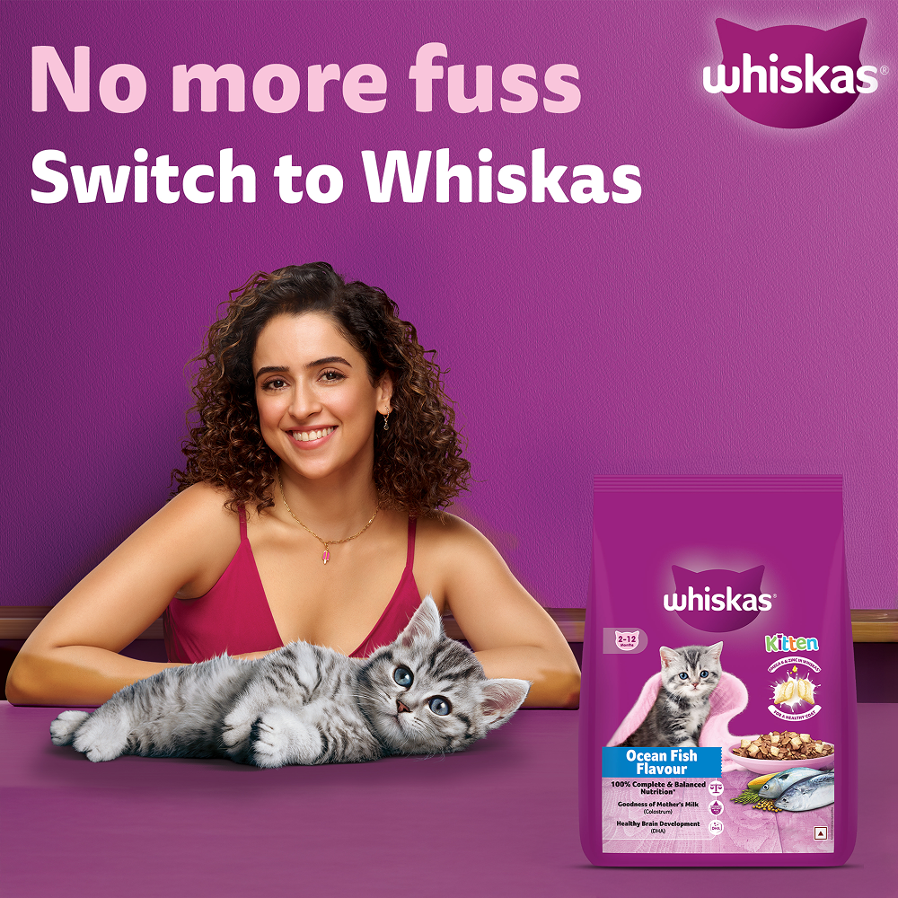 Whiskas Ocean Fish Kitten/Mother and Baby Dry Food & Petkit YumShare Solo Automatic Food Dispenser Combo for Kitten