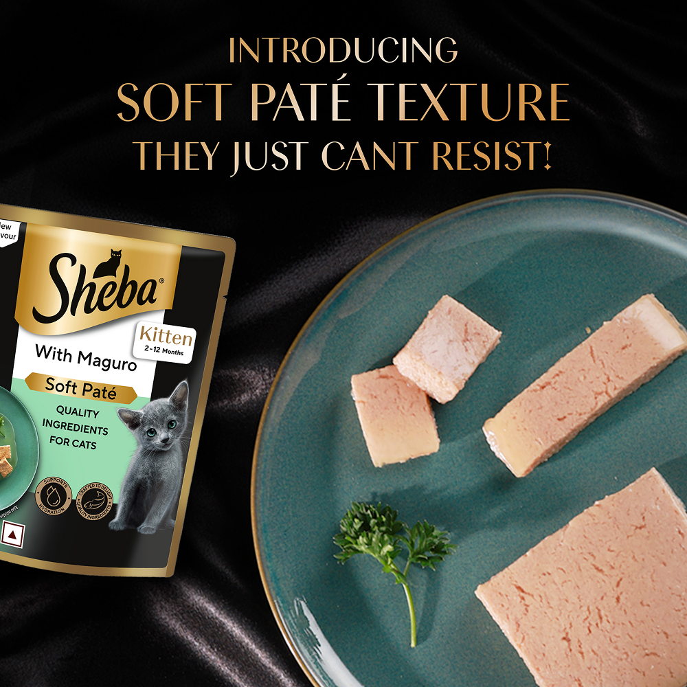 Sheba Maguro Pate Rich Premium Kitten Cat Wet Food