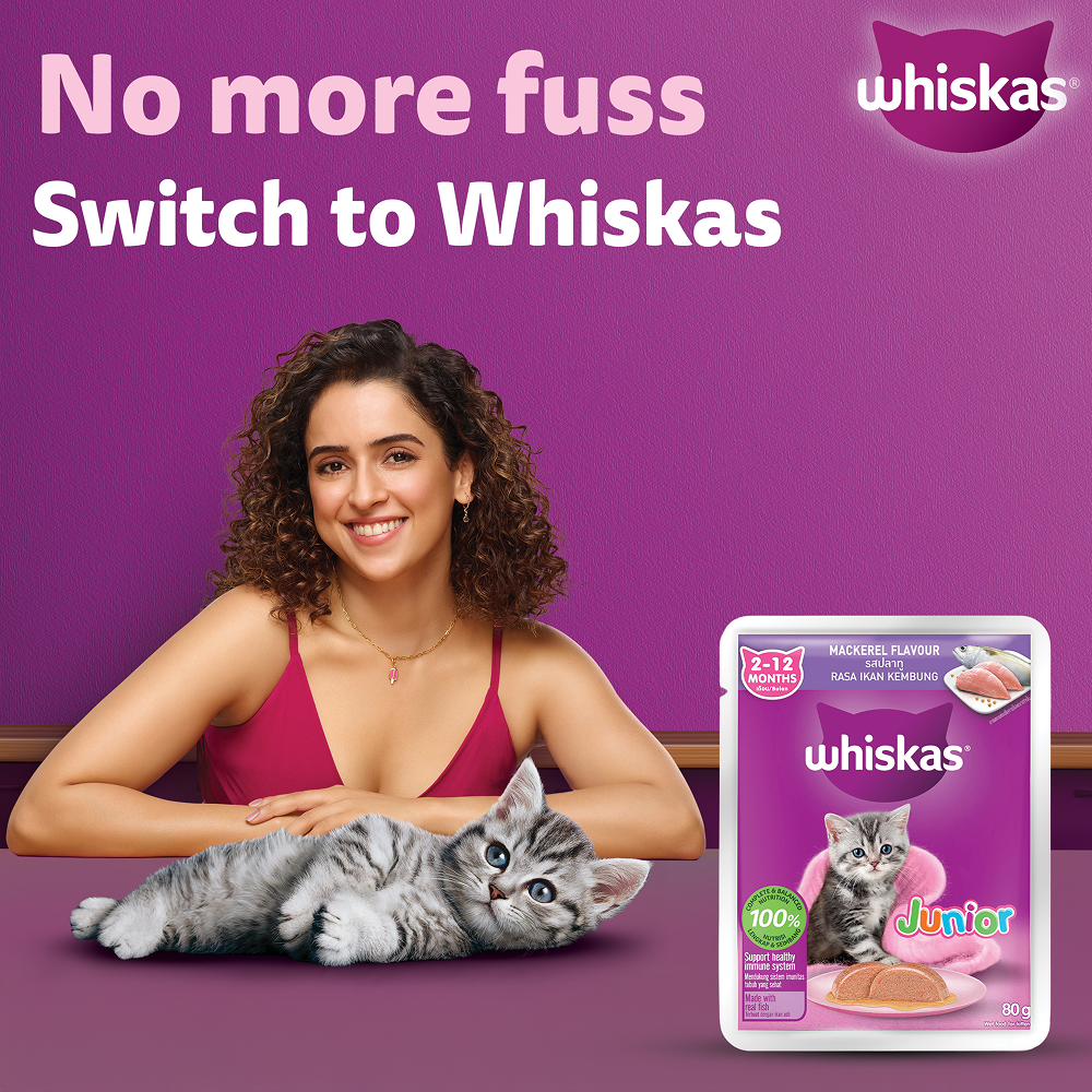 Whiskas Kitten Wet Food Value Combo |Chicken, Tuna & Mackerel