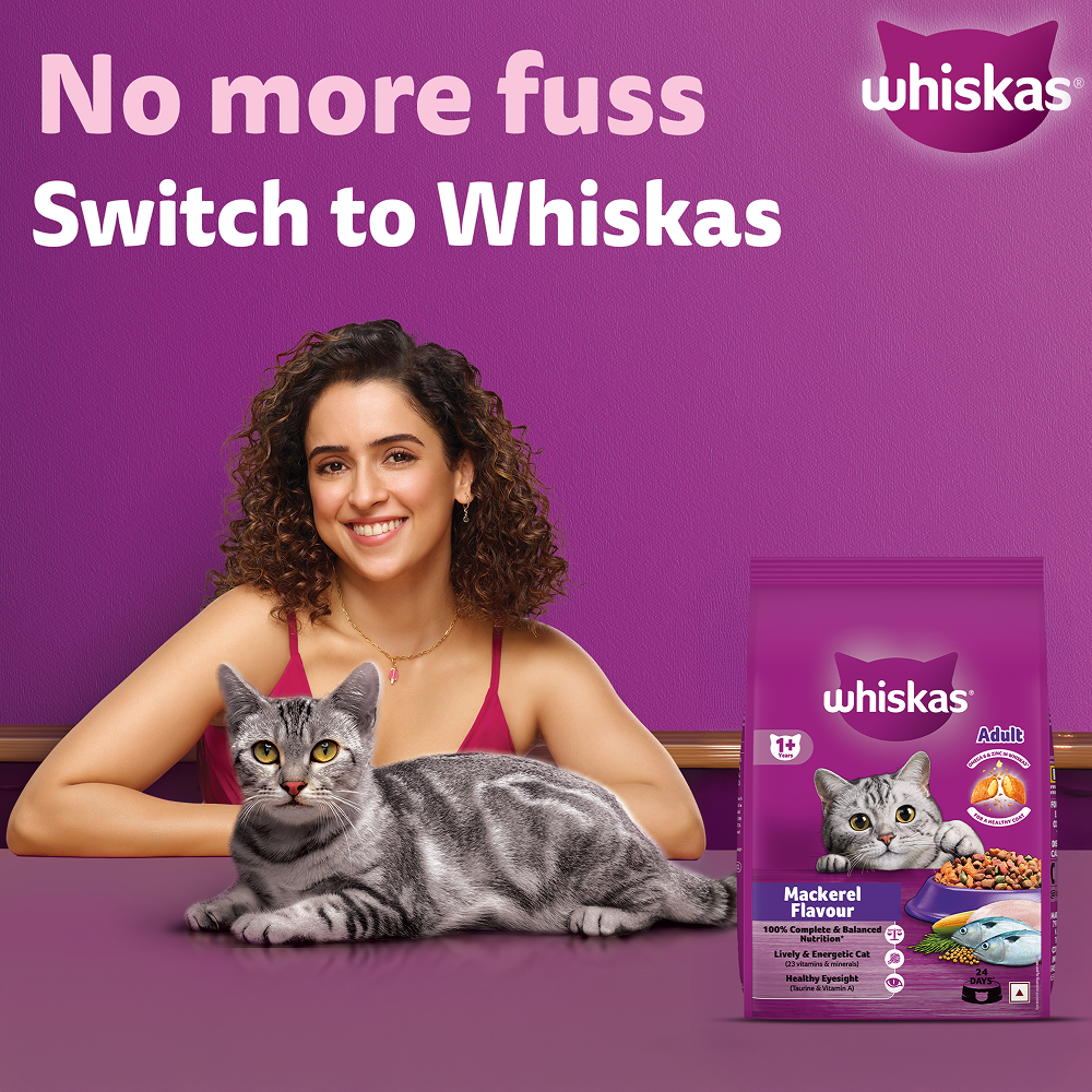 Whiskas Adult Cat Food Combo |Mackerel Dry & Chicken in Gravy Wet