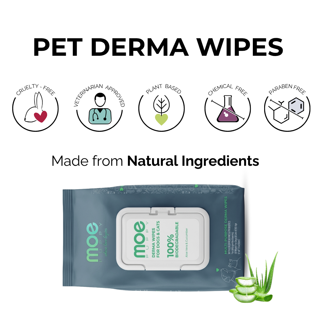 Moe Puppy Aloe Vera & Cucumber 100% Biodegradable Drema Wipes for Dogs and Cats