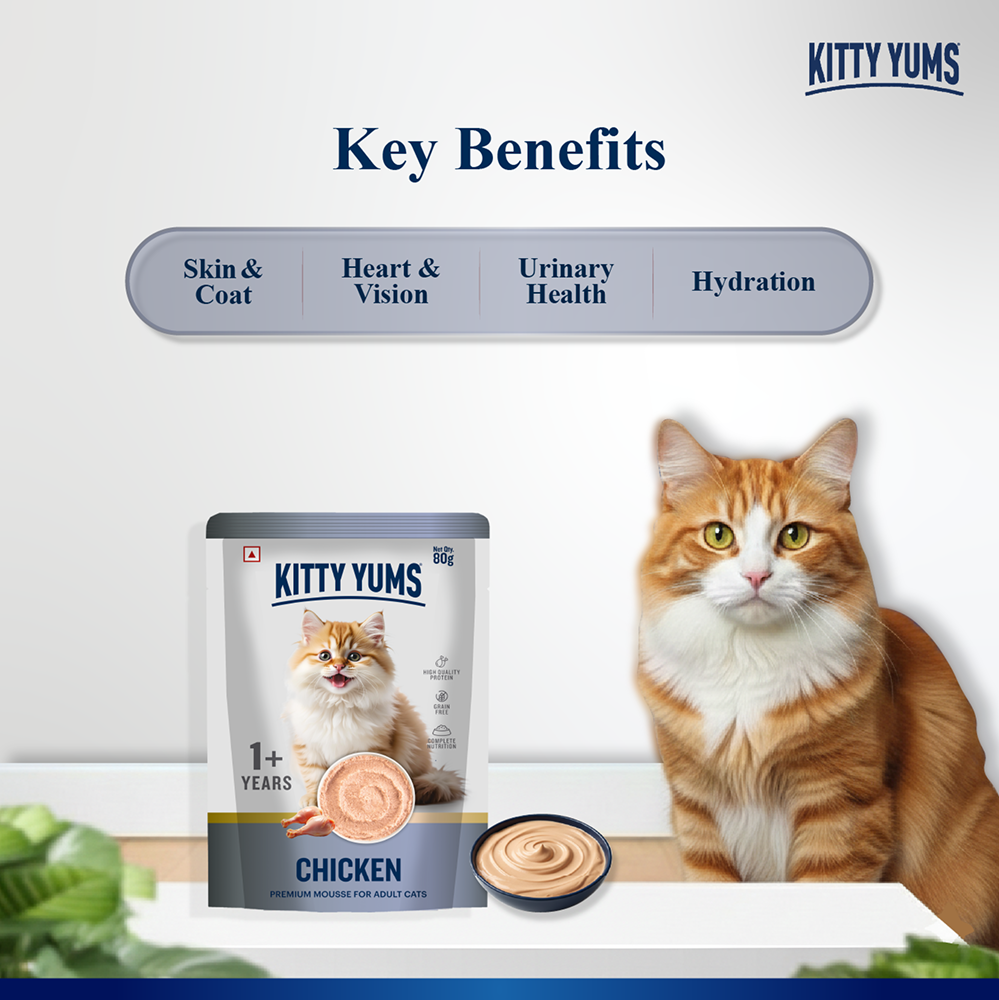 Kitty Yum Chicken Mousse Adult Cat Wet Food