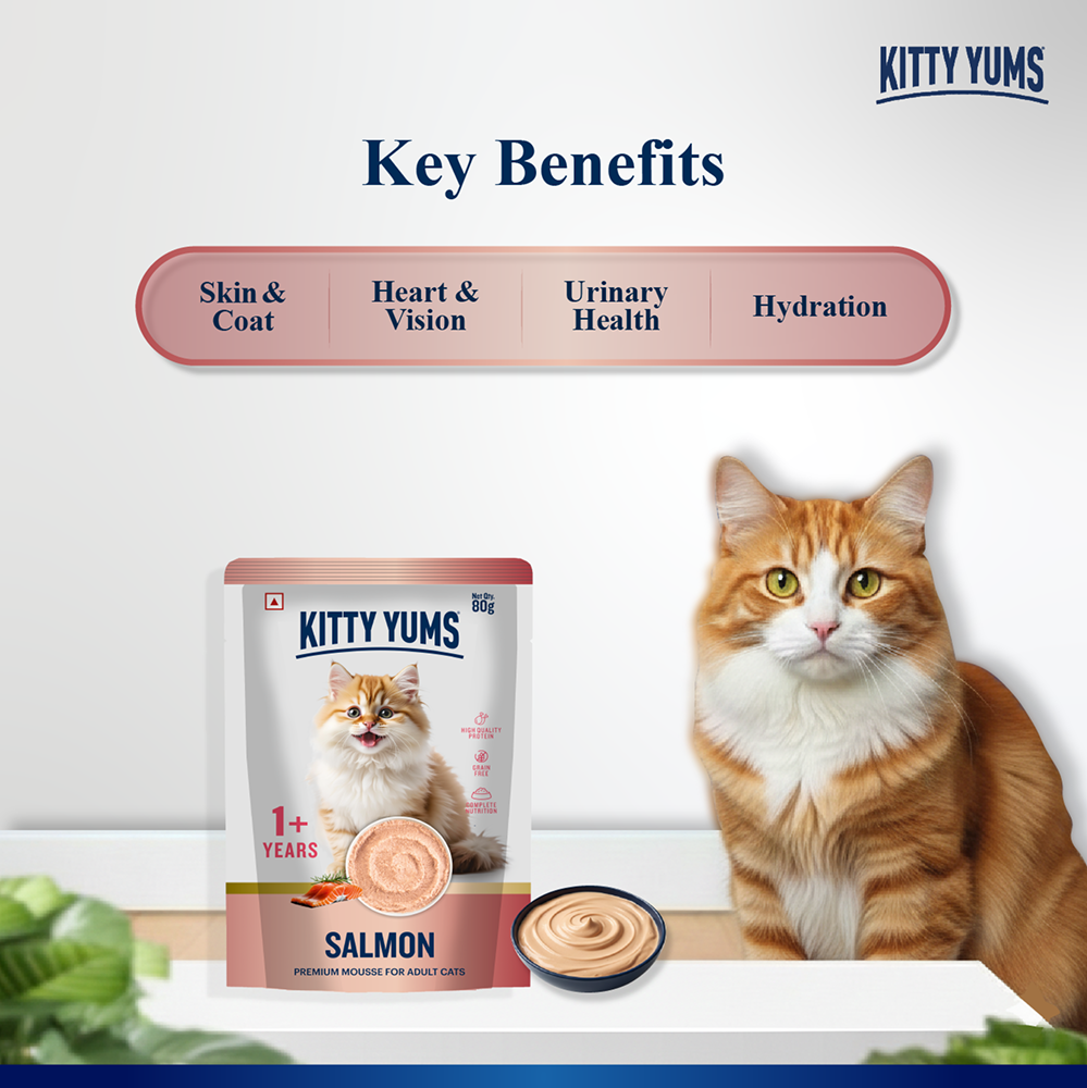 Kitty Yum Salmon Mousse Adult Cat Wet Food