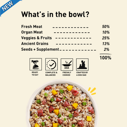 Homiee & Ginger Power Bowl Surf & Turf, Fish Fiesta and Chicken & Barley Fresh Food for Dogs Combo