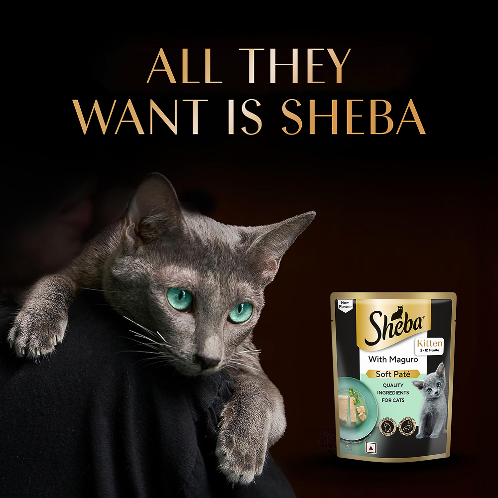 Sheba Maguro Pate Rich Premium Kitten Cat Wet Food