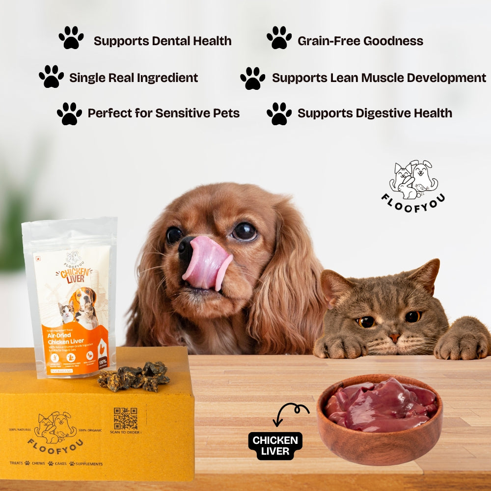 Floofyou Air Dried High Protein Chicken Liver Jerky Dog Treats