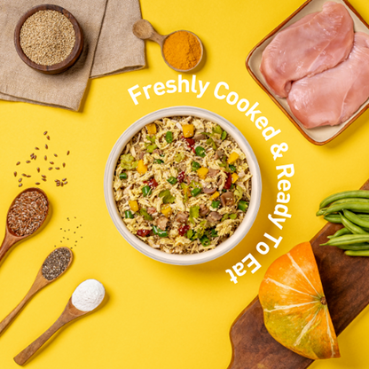 Homiee & Ginger Grain Free Mini Meals Chicken & Sweet Potato, Chicken & Quinoa and Chicken & Barley Fresh Food for Dogs Combo