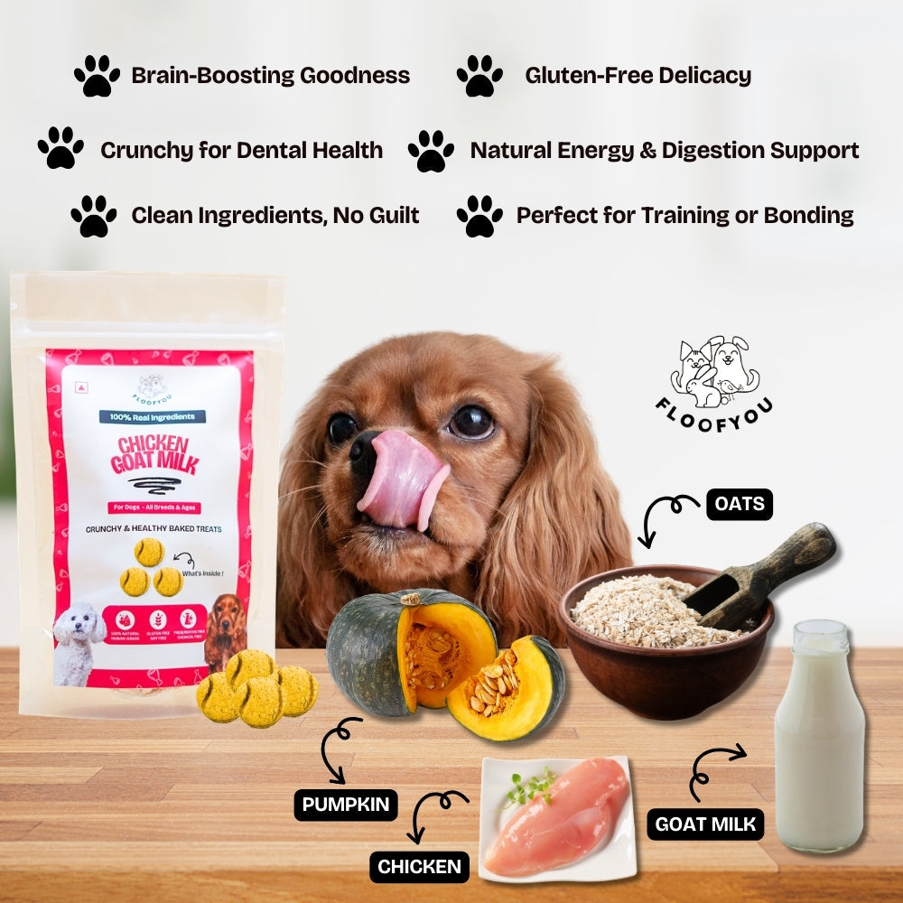 Floofyou Chicken Goat Milk Oven Baked Cookie Dog Treats