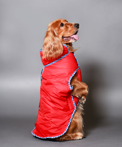 Pet Set Go Wind Sheeter Jackets for Dogs (Red)