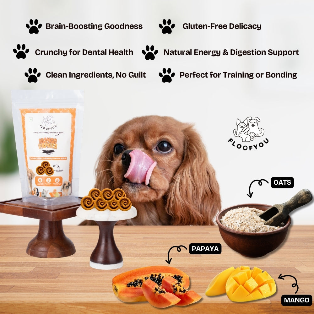 Floofyou Mango Papaya Vegan Oven Baked Cookie Dog Treats