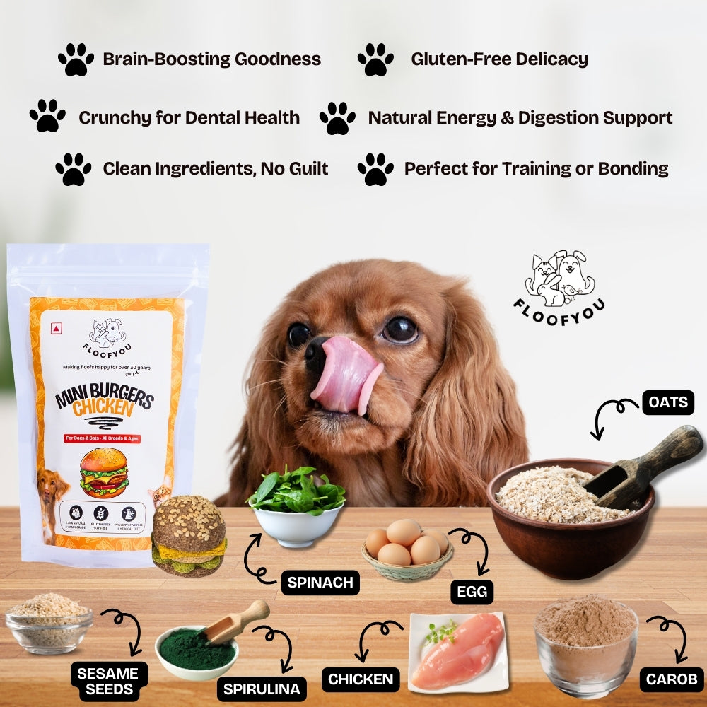 Floofyou Mini Burger Chicken Oven Baked Cookie Dog Treats