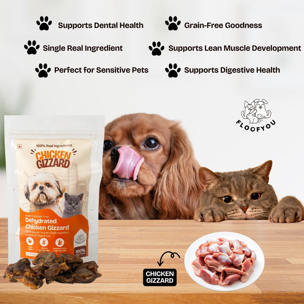 Floofyou Air Dried High Protein Chicken Gizzard Jerky Dog and Cat Treats