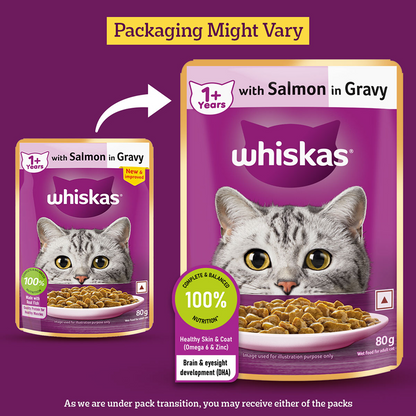 Whiskas Adult Cat Food Combo |Ocean Fish Dry & Salmon in Gravy Wet