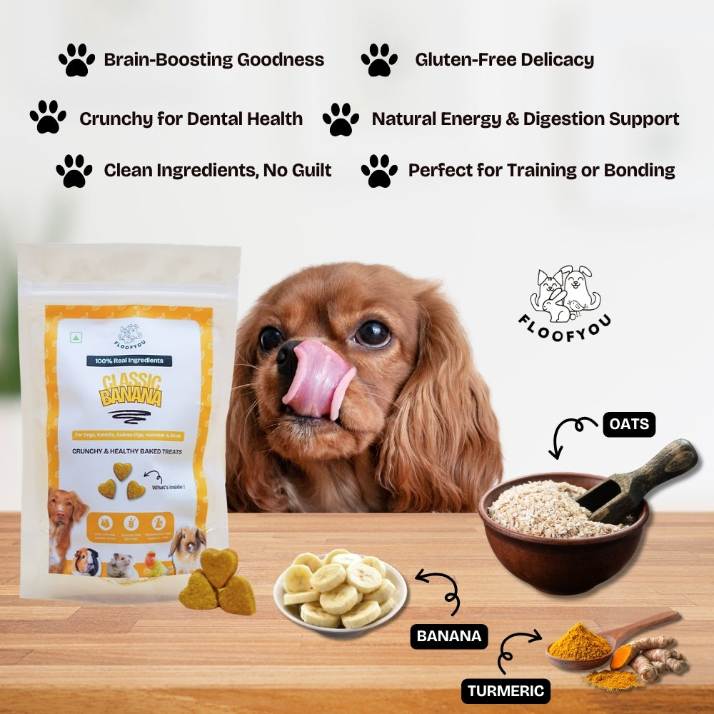 Floofyou Classic Banana Vegan Oven Baked Cookie Dog Treats