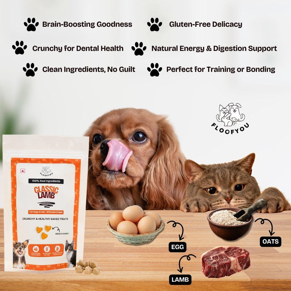 Floofyou Lamb Oven Baked Cookie Dog Treats