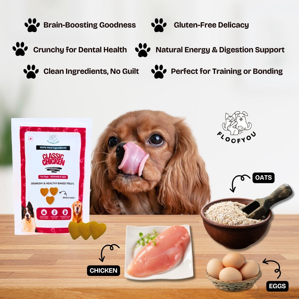Floofyou Classic Chicken Oven Baked Cookie Dog Treats