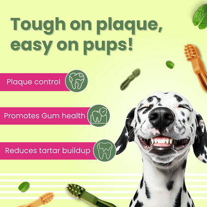 Bark Out Loud by Vivaldis Grain Free Chicken Dental Chews Dog Treats