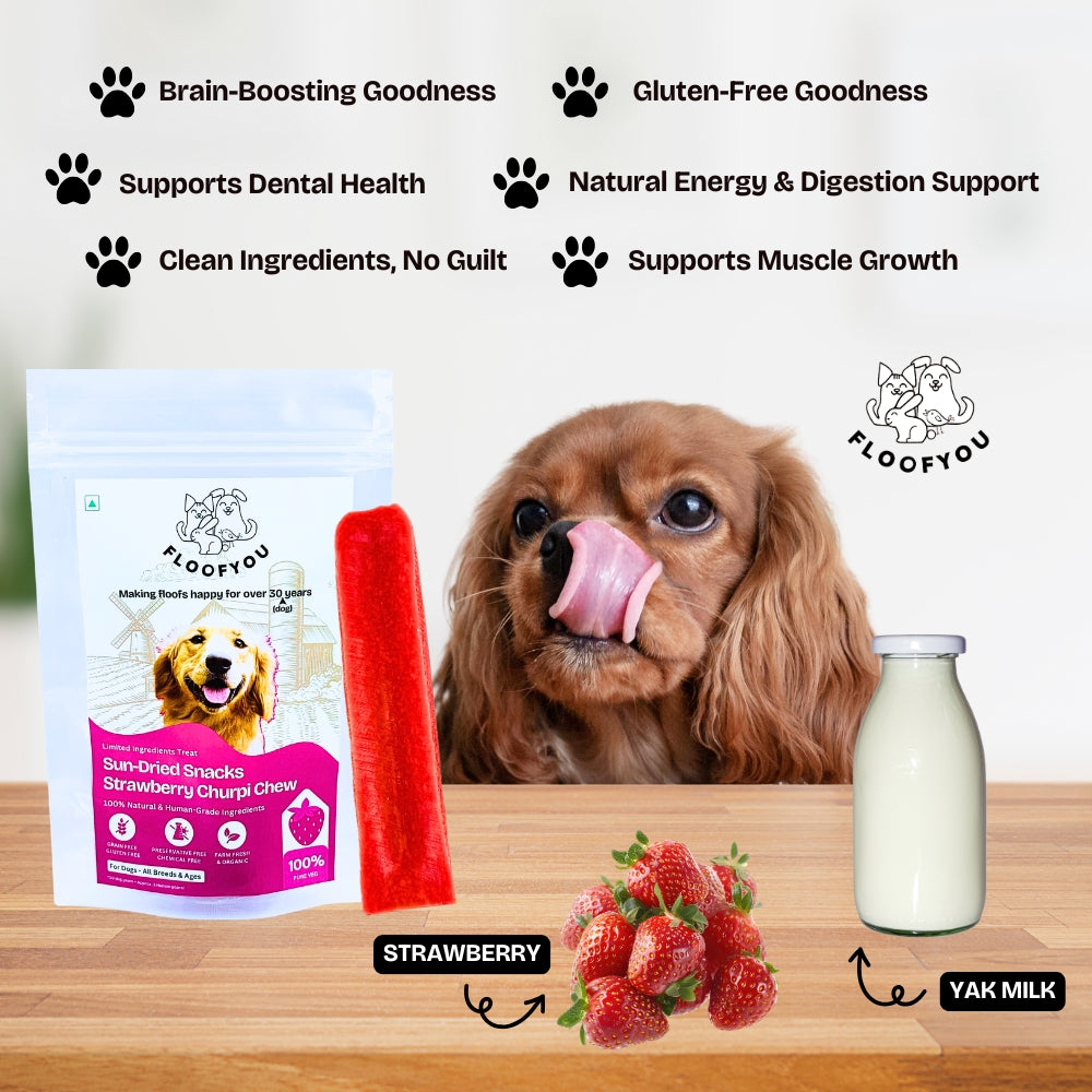 Floofyou Sun Dried Pure Veg Strawberry Yak Dental Dog Treats