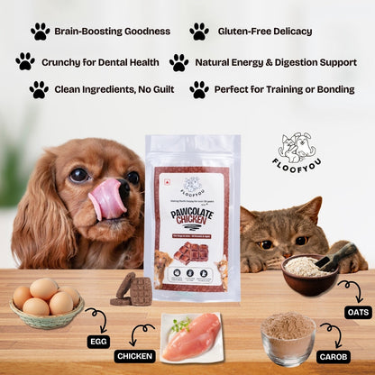Floofyou Pawcolate Chicken Chocolate Safe Oven Baked Cookie Dog and Cat Treats